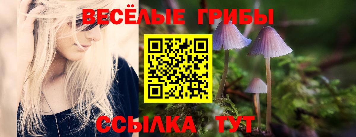 Галлюциногенные грибы Psilocybine cubensis  Псилоцибиновые грибы ЛСД  Вход с VPN  Пыть-Ях 